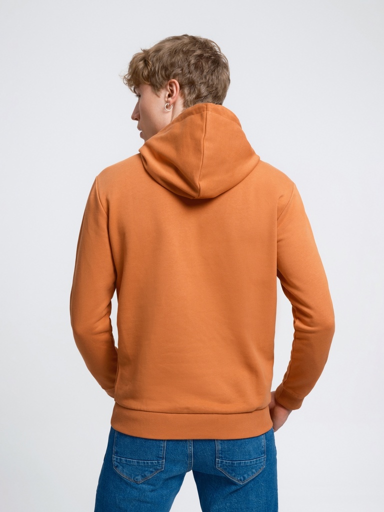 Regular Fit Men's Sweatshirt