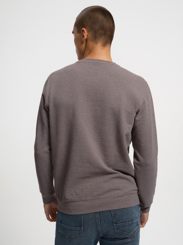 Regular Fit Men's Sweatshirt