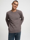 Regular Fit Men's Sweatshirt