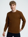 Regular Fit Men's Sweatshirt