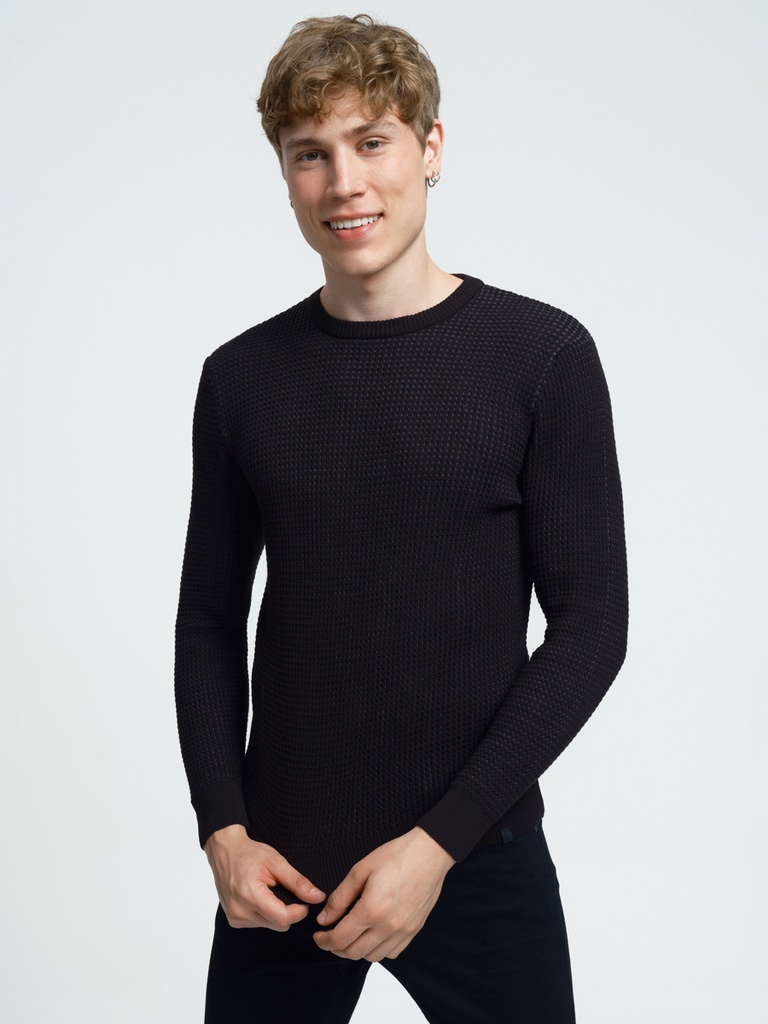 Regular Fit Men's Sweater