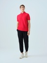 Regular Fit Men's Polo Short Sleeve