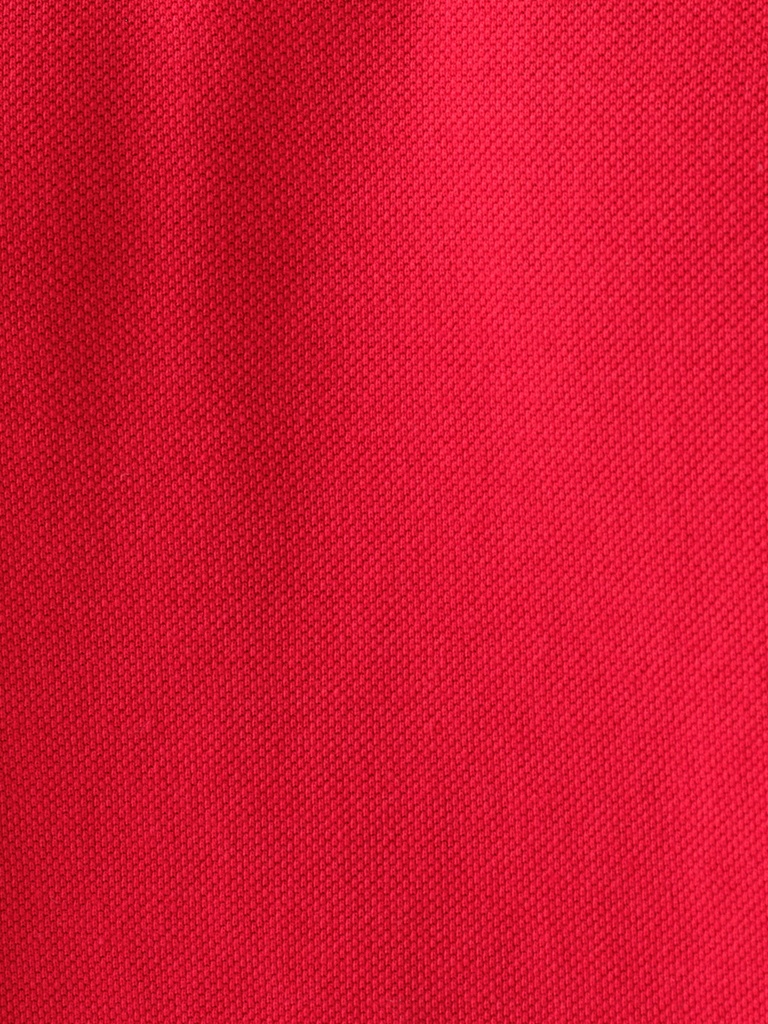 Regular Fit Men's Polo Short Sleeve