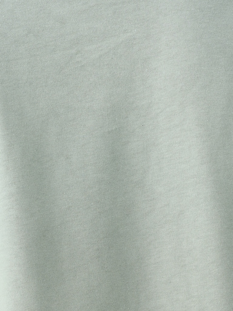 Regular Fit Men's T-shirt Short Sleeve