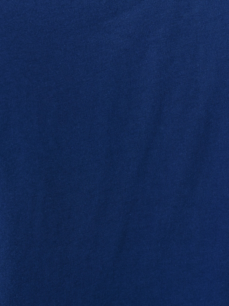 Regular Fit Men's T-shirt Short Sleeve