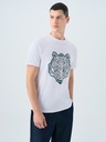 Regular Fit Men's T-shirt Short Sleeve
