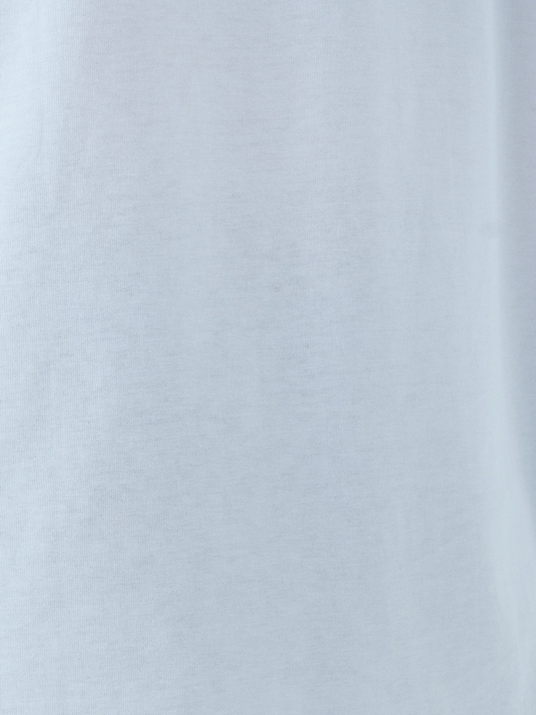 Regular Fit Men's T-shirt Short Sleeve