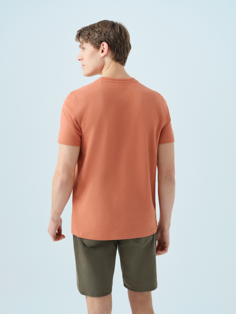 Regular Fit Men's T-shirt Short Sleeve