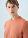 Regular Fit Men's T-shirt Short Sleeve