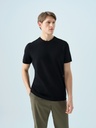 Regular Fit Men's T-shirt Short Sleeve