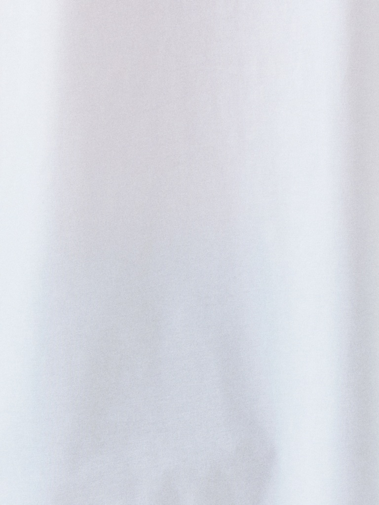 Regular Fit Men's T-shirt Short Sleeve