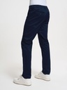 Regular Fit Men's Trousers Straight Leg