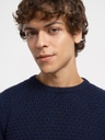 Regular Fit Men's Sweater