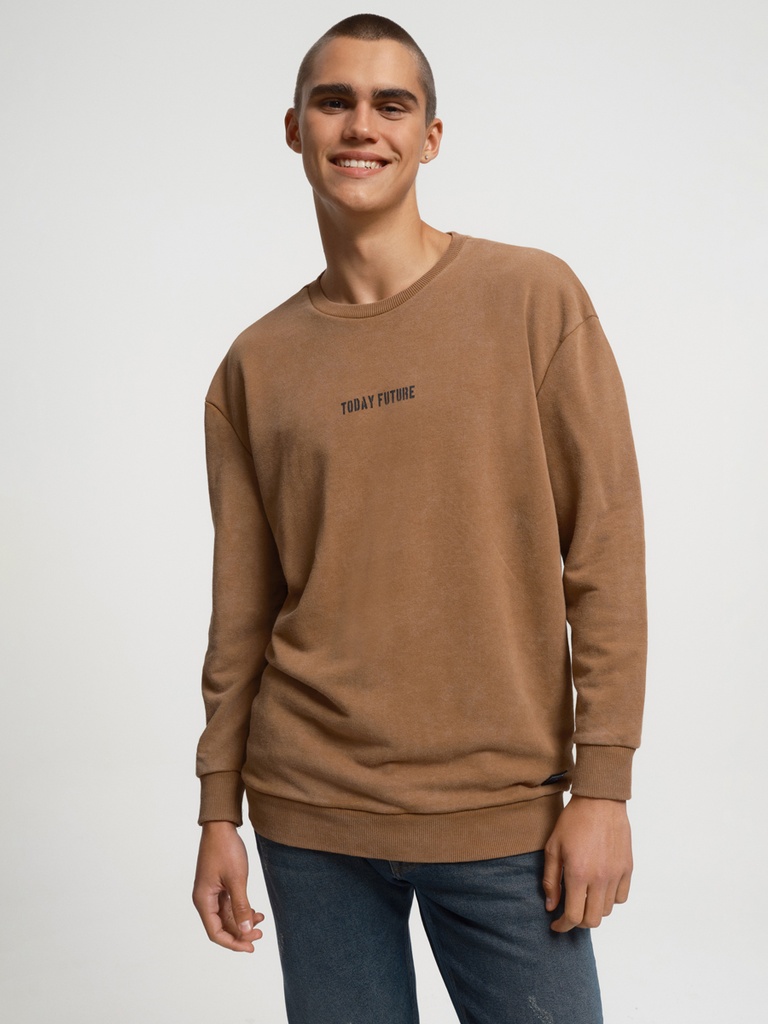 Regular Fit Men's Sweatshirt