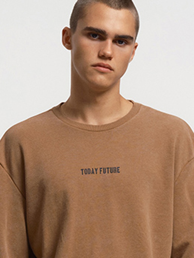 Regular Fit Men's Sweatshirt
