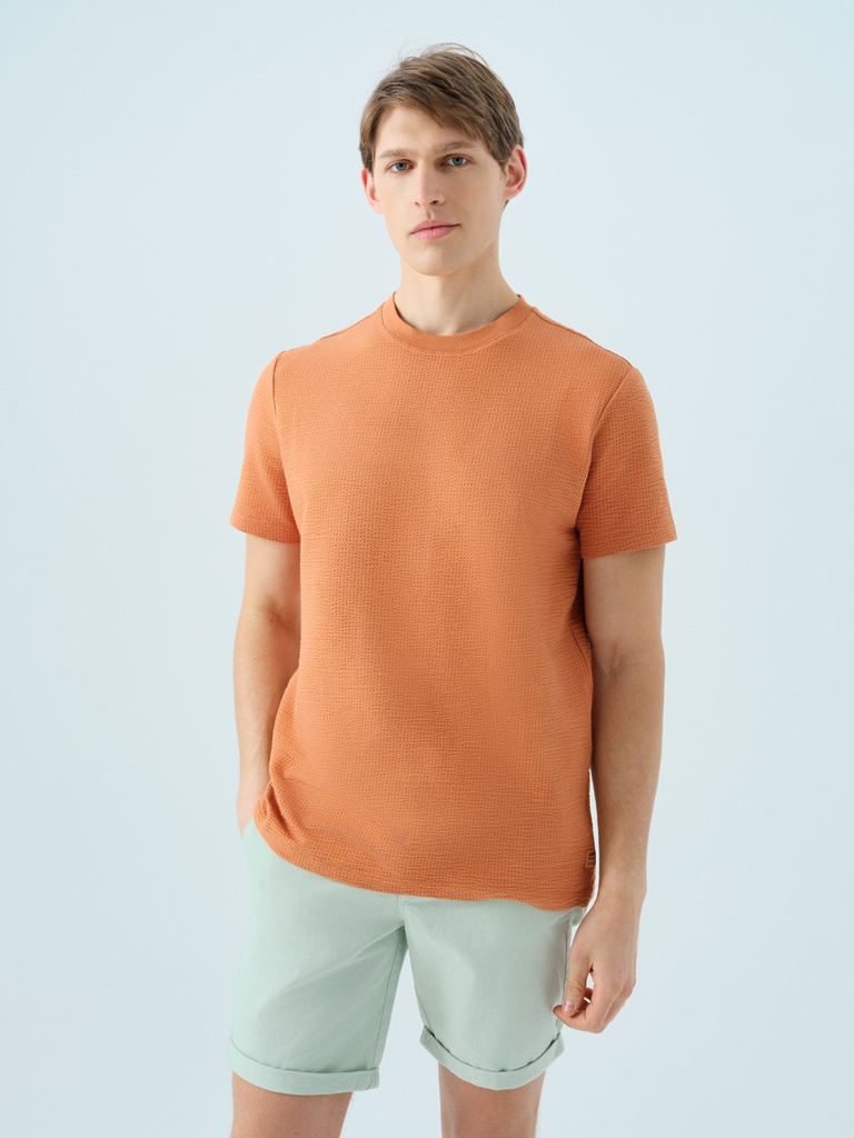 Regular Fit Men's T-Shirt Short Sleeve