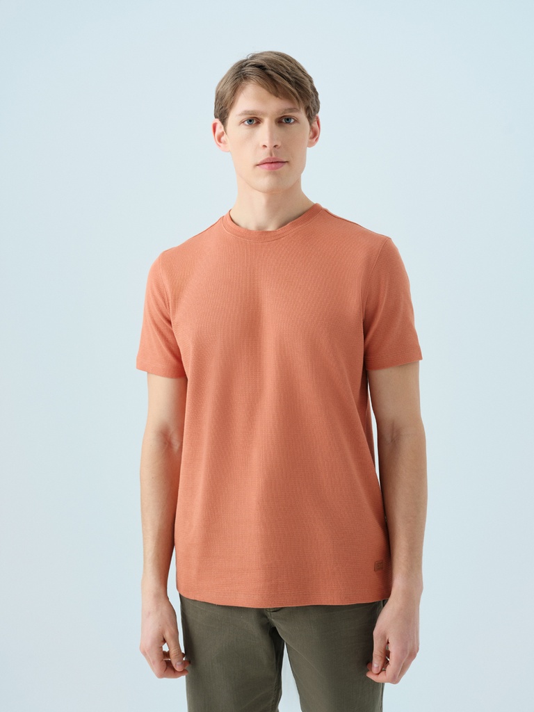 Regular Fit Men's T-shirt Short Sleeve