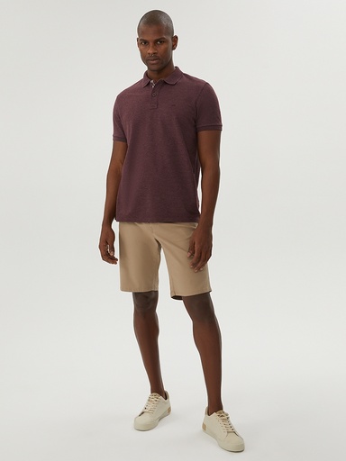 Regular Fit Men's Polo Arm